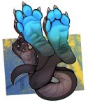  anthro blush claws dogeoisie dragon feet foot_fetish foot_focus foot_shot hi_res hindpaw male paws raised_paw soles solo teasing toe_claws toe_curl toes wrinkles xero_(captainscales) 