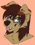  anthro canid canine dusty_(princedusty) eyebrows eyewear floppy_ears glasses headshot_portrait male mammal portrait raised_eyebrow solo tongue tongue_out unknown_artist 