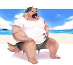  2023 anthro beach belly big_belly bottomwear canid canine canis clothing domestic_dog food hi_res kemono lifewonders male mammal obese obese_male outside overweight overweight_male popsicle scar seaside shirt shorts sitting solo sora_idiotka tokyo_afterschool_summoners topwear yasuyori 