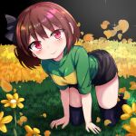  1girl all_fours artist_name black_background black_bow black_ribbon black_shorts black_thighhighs blush bob_cut bow breasts brown_footwear brown_hair chara_(undertale) closed_mouth commentary crawling dark eyelashes field flower flower_field grass green_shirt hair_bow hair_ribbon hands_on_ground head_tilt looking_at_viewer outdoors petals red_eyes ribbon shirt shoes short_hair short_sleeves shorts signature single_horizontal_stripe small_breasts smile solo sparkle thighhighs undertale yellow_flower yellow_shirt yuzero2001 zettai_ryouiki 