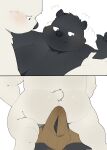  2023 anthro bear black_body black_nose bulge butt duo erection genitals haoming hi_res kemono male mammal overweight overweight_male penis polar_bear ursine white_body 