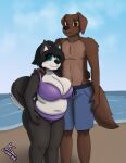  absurd_res anthro arm_around_waist athletic athletic_male beach belly big_belly big_breasts bikini bird_dog breasts canid canine canis cleavage cleavage_overflow clothed clothing domestic_dog duo female hand_on_shoulder hi_res hunting_dog husky kayla_(lonnyk) labrador lonnyk male male/female mammal mik_(lonnyk) nordic_sled_dog retriever seaside slightly_chubby slightly_chubby_female spitz swimming_trunks swimwear 