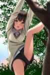  1girl blush brown_eyes brown_hair climbing climbing_tree highres long_sleeves looking_at_viewer matsunaga_kouyou open_mouth original panties panty_peek petite shirt short_hair short_shorts shorts smile solo sweater thighs tomboy underwear white_shirt 