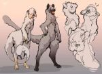  ambiguous_gender anthro ayrao0 biped blue_eyes duo fluffy fluffy_tail fur grey_body grey_fur hi_res long_tail mammal tail the_nature_of_predators venlil_(the_nature_of_predators) white_body white_fur wool_(fur) 