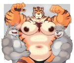  anthro armpit_hair blush body_hair canid canine canis chest_hair clothed clothing dark_nipples felid fur grey_body grey_fur group hair hairy hi_res kawaii_raion male male/male mammal markings muscular muscular_anthro muscular_male navel nipples nude open_mouth orange_body orange_fur pantherine pecs pubes simple_background striped_body striped_markings stripes tiger tongue trio underwear wolf 