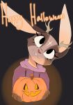  3_fingers ambiguous_gender anthro antlers black_background black_eyelashes black_eyes buckteeth clothing english_text fingers fluffyfoxarts food fruit fur grey_body grey_ears grey_fur half-length_portrait halloween head_tilt hi_res holding_object holding_pumpkin holidays hoodie horn jack-o&#039;-lantern jackalope jupiter_(sweetvixenarts) lagomorph light lighting long_ears looking_up mammal orange_text paws pink_clothing pink_hoodie pink_nose pink_topwear plant portrait pumpkin simple_background snout solo tan_antlers teeth text topwear two_tone_text white_inner_ear white_text 