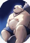  2023 anthro band-aid bandage bear belly big_belly clothing ear_piercing ear_ring hi_res kemono male mammal metaporin moobs night nipples outside overweight overweight_male piercing polar_bear ring_piercing sitting solo star underwear ursine 