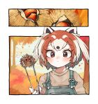  1girl absurdres animal_ears autumn autumn_leaves blush brown_eyes brown_hair chestnut extra_ears grey_hair highres kanmoku-san kemono_friends looking_at_viewer multicolored_hair nature outdoors overalls red_panda_(ex)_(kemono_friends) red_panda_ears red_panda_girl short_hair solo sweater two-tone_hair 