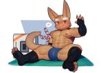  abs anthro better_version_at_source bulge canid canine clothing cydonia_xia fennec fox hi_res male mammal muscular muscular_anthro muscular_male nipples pawpads pecs solo underwear xia_(cydonia_xia) 