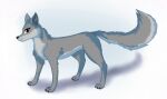  canid canine canis female feral hi_res joeumbre mammal pawpads paws redraw shaded simple_background solo tail wolf 