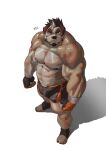  2020 abs absurd_res anthro black_bottomwear black_clothing black_hair black_shorts blood bodily_fluids bottomwear boxing_shorts brown_body brown_fur bruised canid canine canis clothing deltoids domestic_dog drooped_ears eyebrows fangs fingerless_gloves fur gloves hair handwear hi_res high-angle_view korean_text koreanhusky looking_at_viewer male mammal muscular muscular_anthro muscular_male nipples nosebleed obliques orange_clothing orange_eyes orange_gloves orange_handwear pecs shadow shorts solo soonsky_ksk standing taegu_kang teeth text thick_eyebrows triceps white_hair wrist_guards 