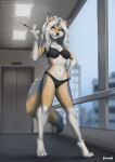  anthro brown_eyes canid canine claws clothed clothing female finger_claws fluffy fluffy_tail fox foxovh fur hair hi_res mammal multicolored_body multicolored_fur solo tail toe_claws underwear underwear_only white_hair 