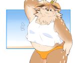  anthro antlers belly blush brown_body brown_fur bulge clothing crop_top deer fur hat headgear headwear hi_res horn jinnta4014 kazusa male mammal moobs navel overweight shirt solo speedo spots spotted_body spotted_fur straw_hat swimwear tamacolle topwear 