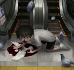  1boy absurdres all_fours bird black_hair black_shorts blood blood_on_face blood_on_hands crazy_eyes dead_animal dove eating escalator feathers frown grey_eyes guro highres holding looking_at_viewer looking_to_the_side open_mouth original pigeon pool_of_blood shirt shoes short_hair short_sleeves shorts sneakers solo tactile_paving white_shirt wide-eyed yakito_lulu 