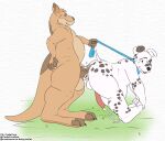  anal_tugging anus balls belly belly_inflation big_belly bodily_fluids canid canine canis collar cudacore cudacore_(cudacore) cum cum_inflation dalmatian dessert domestic_dog doughnut food genital_fluids genitals hi_res inflation kangaroo leash macropod male male/male mammal marsupial pascal_(cudacore) penetration penis sex 