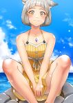  1girl absurdres animal_ears bare_arms cat_ears chest_jewel closed_mouth commentary day dress_swimsuit facial_mark feet_out_of_frame grey_hair highres horizon nia_(fancy_sundress)_(xenoblade) one-piece_swimsuit outdoors ribbed_swimsuit short_hair sitting_on_rock smile solo spaghetti_strap swimsuit water xenoblade_chronicles_(series) xenoblade_chronicles_2 yellow_eyes yellow_one-piece_swimsuit you_nf 