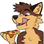  anthro canid canine canis food goldenmylo male mammal multicolored_body pizza portrait solo wolf 