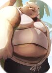  2023 anthro barely_visible_genitalia barely_visible_penis bear belly big_belly bottomwear clothing genitals hi_res kemono leib_(tas) lifewonders male mammal metaporin outside overweight overweight_male palm_tree penis plant polar_bear shirt shorts smoking solo swimwear tokyo_afterschool_summoners topwear tree ursine 