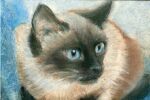  amima_amita animal blue_background blue_eyes cat no_humans original painting_(medium) pastel_(medium) traditional_media whiskers white_background 