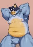  2023 9x8bit absurd_res anthro armpit_tuft australian_cattle_dog bandit_heeler barazoku belly biceps big_belly big_muscles bluey_(series) canid canine canis cattledog chubby_anthro chubby_male claws clothed clothing crotch_tuft domestic_dog fur genitals hands_behind_head herding_dog hi_res looking_at_viewer male mammal musclegut muscular muscular_anthro muscular_male nipples pastoral_dog pecs slightly_chubby solo standing thick_thighs topless topless_male tuft 