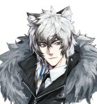  1boy animal_ear_fluff animal_ears arknights black_jacket black_necktie cape closed_mouth collared_shirt fur-trimmed_cape fur_trim grey_eyes grey_hair hair_between_eyes highres jacket kard leopard_boy leopard_ears male_focus necktie shirt short_hair silverash_(arknights) simple_background smile solo upper_body white_background white_shirt 