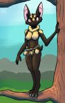  60percentscalie anathi_(leinglo) anthro bat bat_ears belt black_body black_fur bottomless breasts brown_eyes casual_nudity clothed clothing dagger digital_media_(artwork) female forest fur genitals hi_res humanoid jungle jungle_background knife looking_at_viewer mammal markings melee_weapon multicolored_body multicolored_fur nature nature_background neck_floof nipples nude outside plant pouch_(clothing) pussy rope rope_belt short_tail solo tail tree tree_trunk tribal two_tone_body two_tone_fur weapon wingless_bat yellow_markings 
