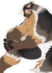  1boy animal_ear_fluff animal_ears bara black_fur boogbogex brown_eyes brown_fur chest_hair closed_eyes dog_boy dog_ears ear_down english_text feet furry furry_male haki_(boogbogex) highres invisible_chair large_pectorals looking_at_viewer male_focus muscular muscular_male orange_fur original pain pectorals pinching short_hair sitting soles solo thick_eyebrows towel_around_waist whiskers white_fur 