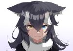  1girl absurdres animal_ears biting black_hair blue_eyes crying crying_with_eyes_open dripping ears_down english_commentary eyelashes fur_collar furrowed_brow gradient_background grey_wolf_(kemono_friends) hair_between_eyes heterochromia highres kemono_friends long_hair looking_at_viewer lullaby_(softgentlelully) multicolored_hair parted_lips sad solo streaming_tears tears two-tone_hair upper_body white_hair wolf_ears yellow_eyes 