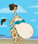  2023 anthro beach big_breasts bikini breasts brown_eyes brown_hair clothing cloud copyright_symbol digital_media_(artwork) female fur giraffe giraffid hair hi_res huge_belly long_neck mammal navel outie_navel pregnant sand satsumalord seaside sky solo spots spotted_body spotted_fur swimwear symbol thick_thighs water 