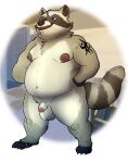  2023 absurd_res anthro balls belly big_belly brown_body dark_sparce genitals hi_res male mammal moobs navel nipples overweight overweight_male penis procyonid raccoon solo 
