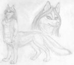  2023 5_fingers blouse bottomless bottomless_female bottomless_taur breasts canid canid_taur canine canine_taur canis chukchi_husky claws clothed clothing collar digitigrade dog_taur domestic_dog eyebrows female finger_claws fingers fluffy fluffy_tail full-length_portrait graphite_(artwork) hair herm_(lore) looking_at_viewer mammal mammal_taur medium_breasts monochrome pencil_(artwork) portrait quadruped simple_background solo standing tail taur toe_claws topwear topwear_only traditional_media_(artwork) white_background 