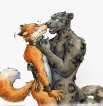  akatan_art anthro blush canid canine cheek_tuft collar collar_pull cuff_(restraint) dominant dominant_male duo ears_back eye_contact facial_tuft fangs felid fox fur hi_res looking_at_another male mammal mouth_closed nude open_mouth pivoted_ears red_tongue restraints side_view simple_background spots spotted_arms spotted_body spotted_fur standing submissive submissive_male teeth tongue tuft white_background wrist_cuffs 