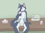  anthro blush canid canine canis clothed clothing diaper diaper_change domestic_dog fur hi_res husky infantilism kinkojom male mammal nordic_sled_dog smile solo spitz wearing_diaper 