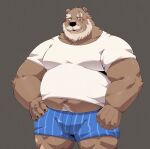  2023 anthro bear beard belly big_belly blush brown_body brown_fur bulge clothing facial_hair fur hi_res humanoid_hands jumperbear kemono male mammal mature_male mustache overweight overweight_male scar shirt simple_background solo topwear underwear 
