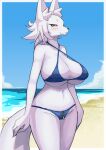  anthro bikini blush breasts canid canine canis chatora_(pixiv) clothed clothing female fox fur looking_at_viewer mammal smile solo swimwear 