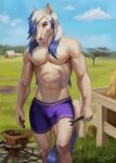  2023 anthro athletic blue_eyes blue_hair blue_tail clothing cloud cloudscape colored day detailed_background digital_drawing_(artwork) digital_media_(artwork) dimonis equid equine farm hair hi_res horse male mammal muscular muscular_anthro muscular_male purple_clothing purple_underwear shaded signature sky smile solo tail underwear watermark white_body white_hair 