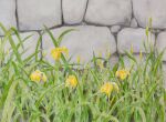  flower grass highres naoy_watercolor no_humans original painting_(medium) plant realistic still_life stone_wall tall_grass traditional_media wall watercolor_(medium) yellow_flower 