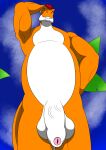  absurd_res afrovenator anthro balls belly big_penis dadbod dinosaur flaccid foreskin genitals grin hair hi_res looking_at_viewer looking_down male nude orange_body penis red_hair reptile rico_(ricodino) ricodino scalie smile solo vein veiny_penis white_belly 