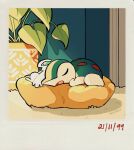  artist_name carpet cyndaquil highres indoors lugia no_humans open_mouth pillow plant pokemon pokemon_(creature) potted_plant sleeping teletelo 