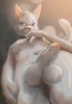  animated anthro balls blue_eyes blurred_background fur genitals grey_body grey_fur low_res male nipples patreon_artist patreon_username penis solo speedpaint stampmats timelapse 