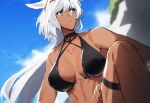  1girl animal_ears bikini black_bikini blue_eyes body_markings breasts caenis_(fate) caenis_(swimsuit_rider)_(fate) dark-skinned_female dark_skin fate/grand_order fate_(series) highres large_breasts long_hair midriff sabamori solo swimsuit tattoo white_hair 