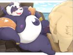 2023 96panda alp_(tas) anthro backsack balls bear belly big_belly big_butt black_nose butt cloud detailed_background duo erection genitals giant_panda hi_res human human_on_anthro humanoid_hands interspecies kemono lifewonders male male/male mammal outside overweight overweight_male penis purple_body sitting tokyo_afterschool_summoners water white_body 