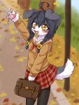  2021 4_fingers accessory ahoge anthro asian_clothing autumn bag black_hair blurred_background blush border_collie bottomwear braided_hair braided_pigtails breasts canid canine canis claws clothed clothing collie cotorita cute_fangs digital_media_(artwork) domestic_dog east_asian_clothing emanata female female_anthro finger_claws fingers floppy_ears fur gesture grey_body grey_fur hair hair_accessory happy herding_dog hi_res holding_bag japanese_clothing japanese_school_uniform kemono koto0v0haru leaf legwear mammal open_mouth pastoral_dog pawpads paws pigtails portrait school_uniform sheepdog skirt small_breasts solo stockings sweater tail tail_under_skirt three-quarter_portrait tongue topwear uniform waving white_body white_fur 