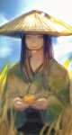  1girl black_hair blue_sky blunt_bangs blunt_ends blurry cloud dated day final_fantasy final_fantasy_xiv food fruit grass green_eyes green_kimono hat highres holding holding_plate hyur japanese_clothes kimono light_smile long_hair looking_at_viewer obi outdoors owari_(26593762) persimmon plate rice_hat sash sidelocks signature sketch sky solo straight_hair straw_hat upper_body wide_sleeves yotsuyu_goe_brutus 