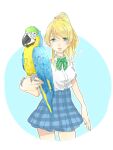  1girl ayase_eli bird bird_on_hand blonde_hair blue_background blue_eyes blue_skirt bow bowtie collared_shirt commentary_request cowboy_shot cropped_legs dress_shirt green_bow green_bowtie hair_between_eyes hair_ornament hair_scrunchie highres kashikaze looking_at_viewer love_live! love_live!_school_idol_project medium_hair otonokizaka_school_uniform outline parrot parted_lips plaid plaid_skirt pleated_skirt ponytail school_uniform scrunchie shirt shirt_tucked_in simple_background skirt solo striped striped_bow striped_bowtie two-tone_background white_background white_outline white_scrunchie white_shirt 