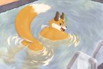  anthro bathing butt canid canine fox fur hi_res hot_spring iyo_(tamacolle) male mammal nude orange_body orange_fur overweight partially_submerged shrimpcolor solo swimming tamacolle water 