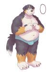  2021 3:4 absurd_res anthro belly belly_overhang bernese_mountain_dog canid canine canis chuchowriggle_(artist) clothed clothing digital_media_(artwork) dom_(chuchowriggle) domestic_dog full-length_portrait fur gesture hi_res index_to_index male mammal molosser moobs mountain_dog multicolored_body multicolored_fur nipples overweight overweight_anthro overweight_male portrait shy simple_background solo standing swiss_mountain_dog three-quarter_view underwear underwear_only 