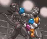 2023 anthro ballboxing balls_outline boxing boxing_gloves butt butt_focus clothed clothing croagunk dcheese digital_media_(artwork) duo erection erection_under_clothing female fight fighting_ring generation_4_pokemon generation_7_pokemon genital_outline gynomorph gynomorph/male handwear hi_res intersex intersex/male leather leather_clothing leather_headgear low-angle_view male nintendo penis_clothing pokemon pokemon_(species) salandit sport thong underwear 