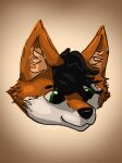 absurd_res anthro canid canine fox hi_res kentine male mammal red_fox solo 