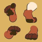  4_toes anthro bappy_(bembosdoggo) barefoot bembosdoggo brown_body brown_fur brown_pawpads canid canine canis domestic_dog feet foot_fetish foot_focus fur hi_res male mammal model_sheet molosser mountain_dog pawpads paws saint_bernard simple_background soles solo toe_curl toes 